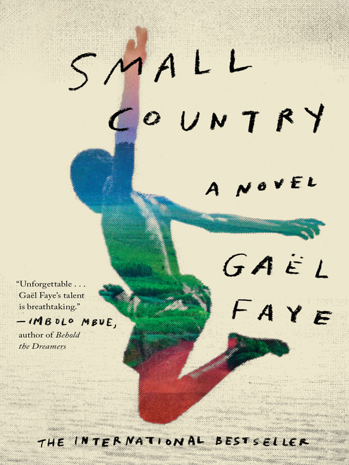 Title details for Small Country by Gaël Faye - Wait list